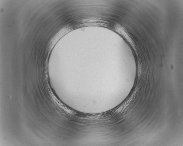 X0000070881386200607150135