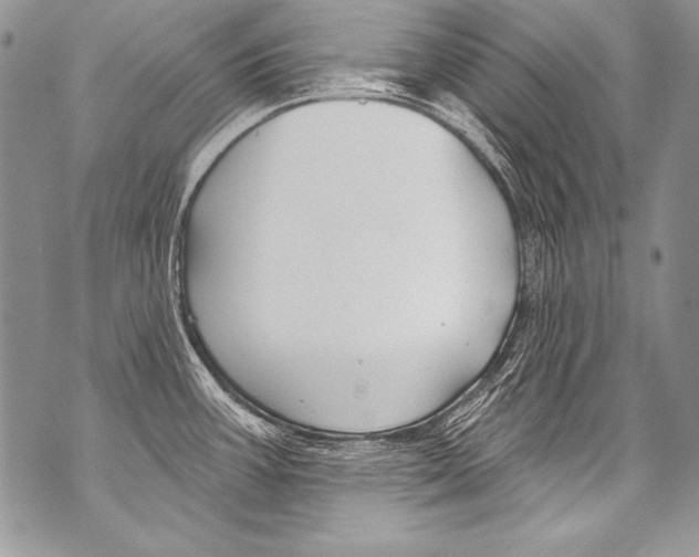 X0000070881387200607150135