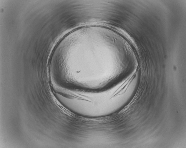 X0000070881388200607150135