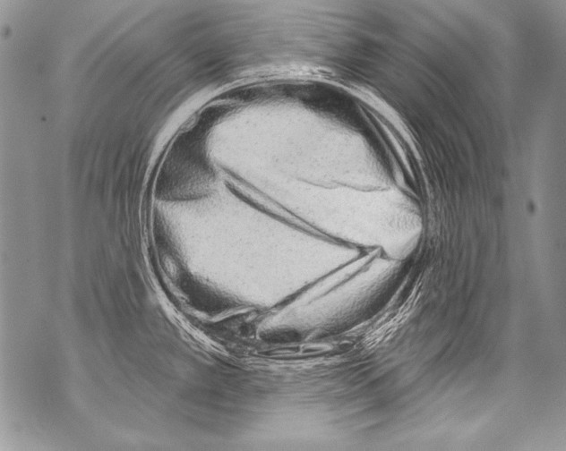 X0000070881389200607150135