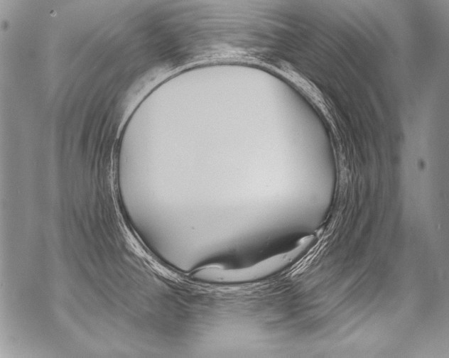 X0000070881390200607150135