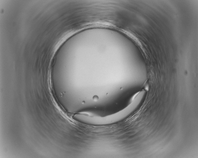 X0000070881391200607150135