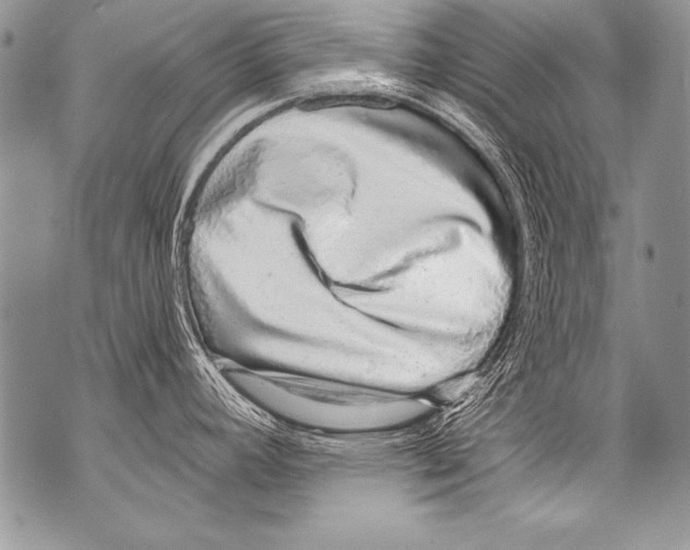 X0000070881392200607150135