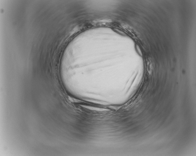 X0000070881393200607150134