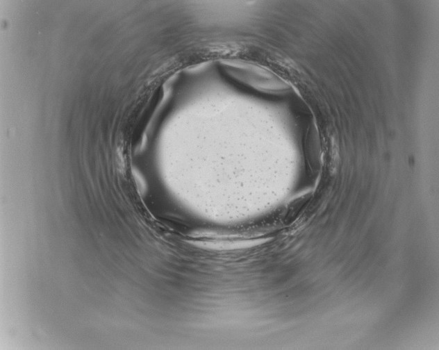 X0000070881394200607150134