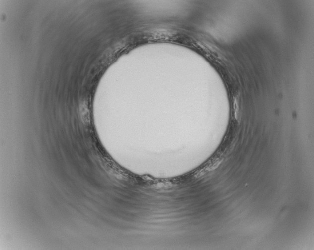 X0000070881395200607150134