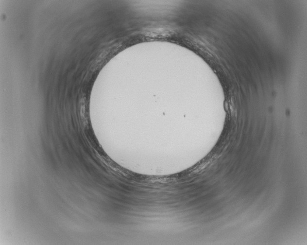 X0000070881396200607150134