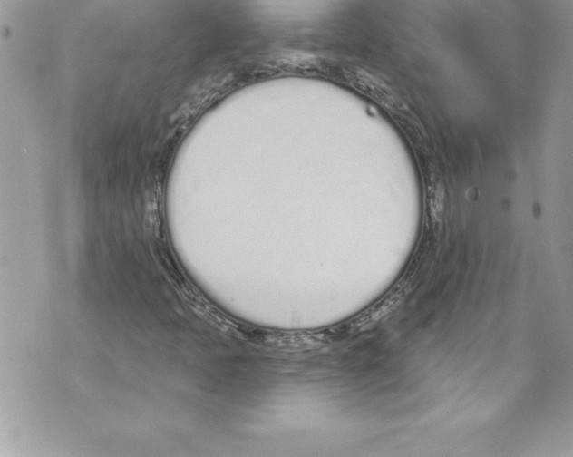 X0000070881397200607150134