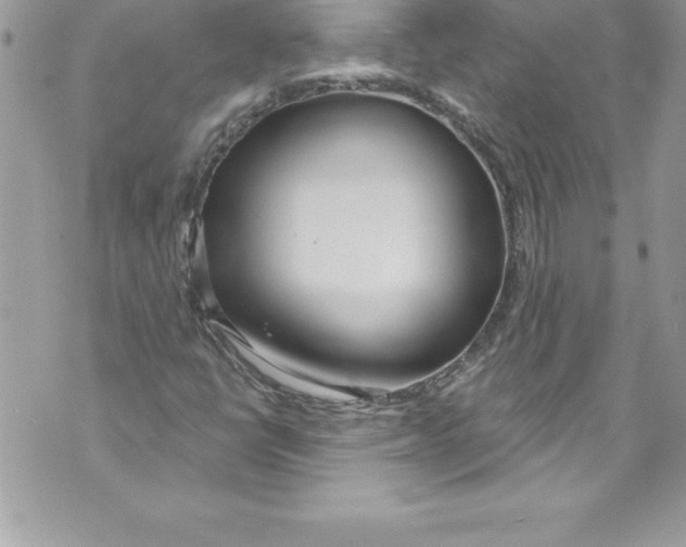 X0000070881398200607150134