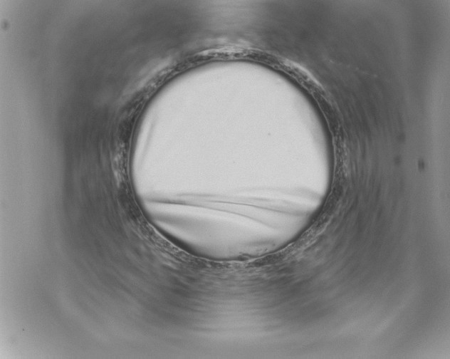 X0000070881399200607150134