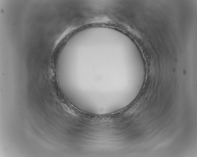 X0000070881400200607150134