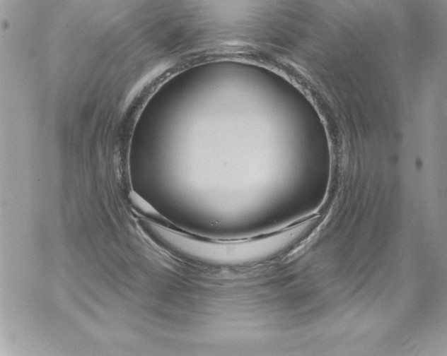 X0000070881402200607150134