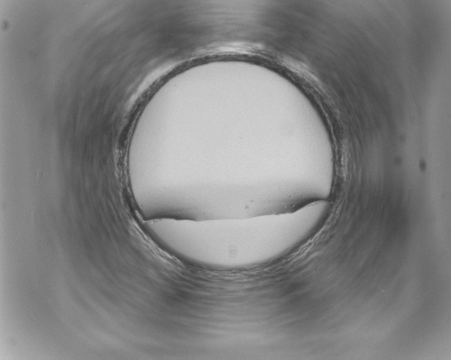 X0000070881404200607150135