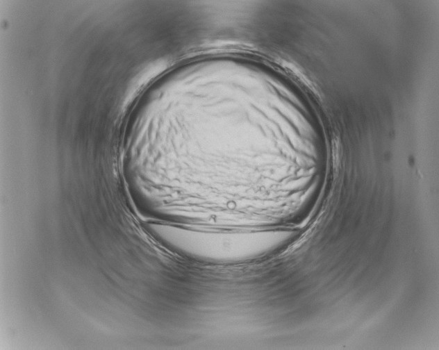 X0000070881405200607150135