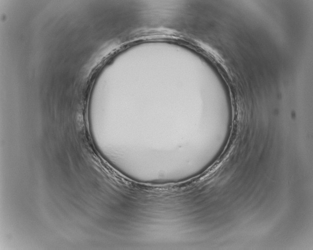 X0000070881407200607150135