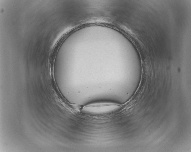 X0000070881408200607150135