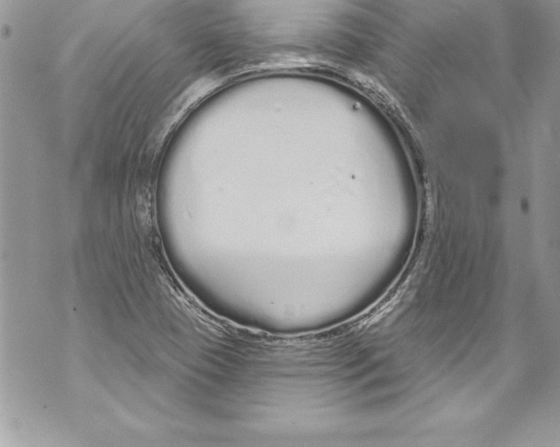 X0000070881409200607150135