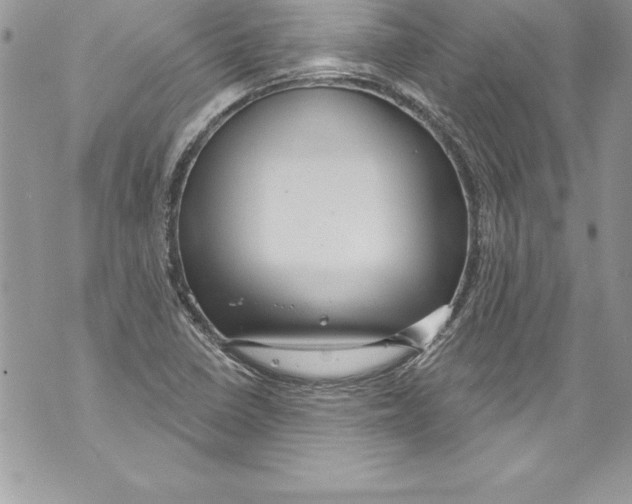 X0000070881410200607150135