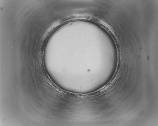 X0000070881411200607150135