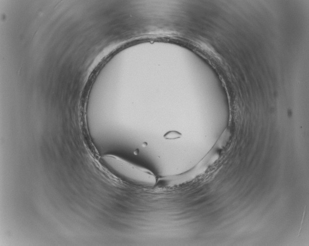 X0000070881412200607150135