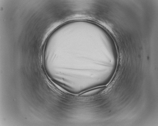 X0000070881413200607150135