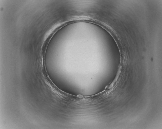 X0000070881414200607150135