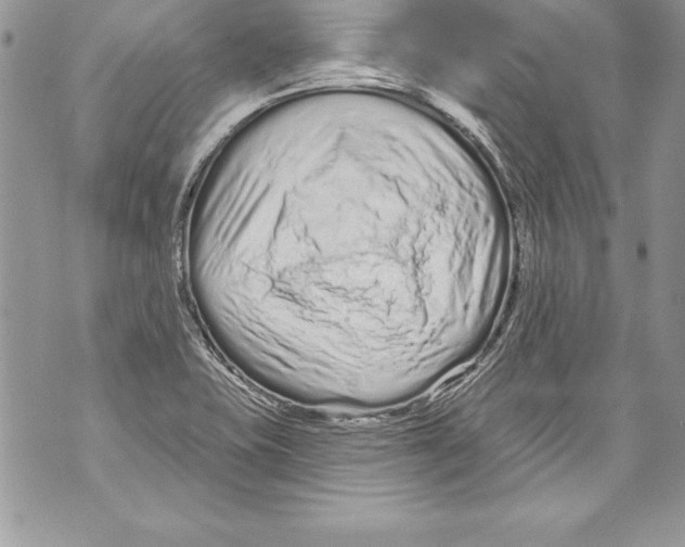 X0000070881415200607150135