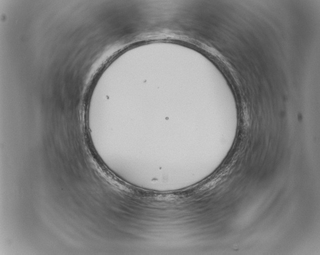 X0000070881416200607150135