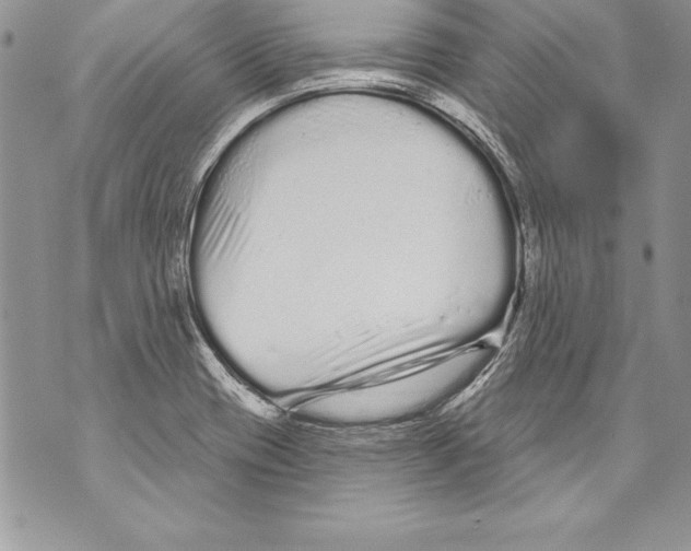 X0000070881417200607150135