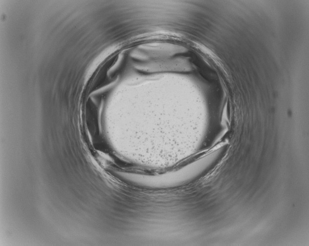 X0000070881418200607150135