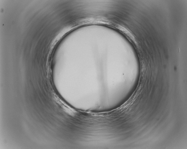 X0000070881419200607150135