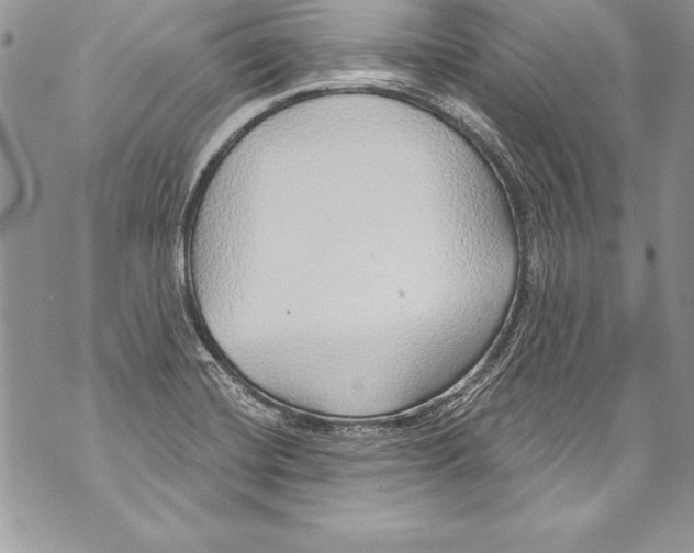 X0000070881420200607150135