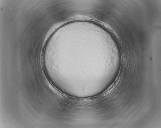 X0000070881421200607150135