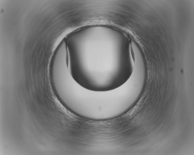 X0000070881422200607150135