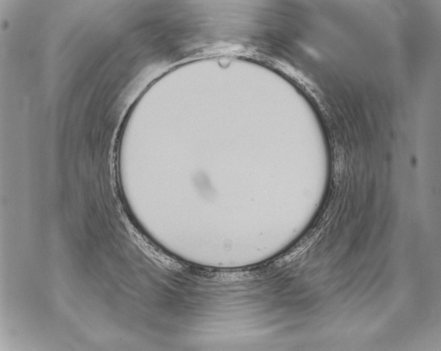 X0000070881423200607150135