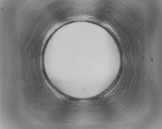 X0000070881424200607150135