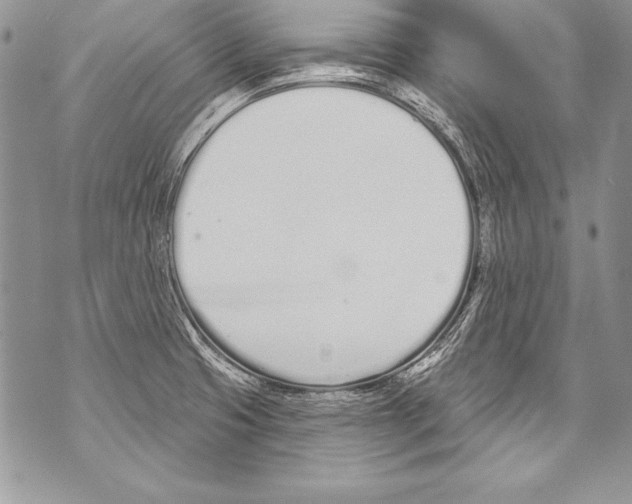 X0000070881425200607150135