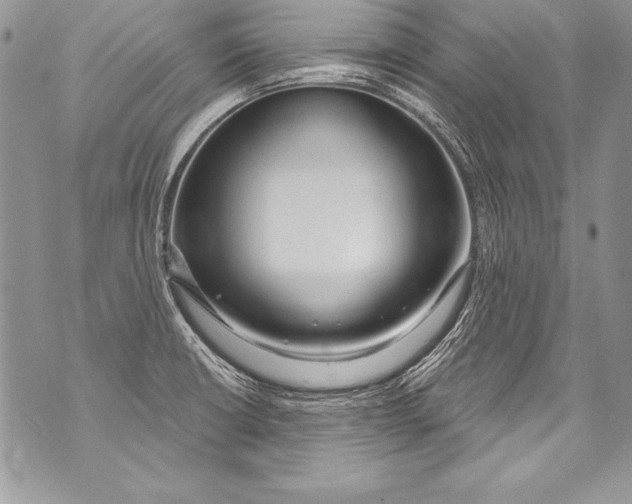 X0000070881426200607150135