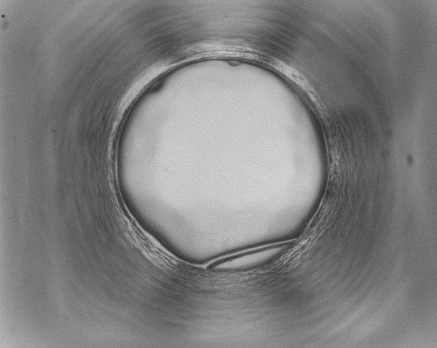 X0000070881427200607150135