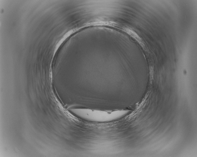 X0000070881428200607150135