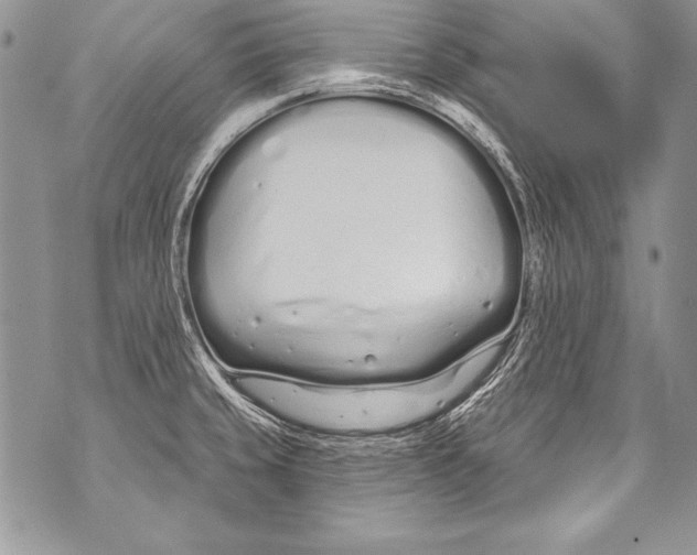 X0000070881429200607150135