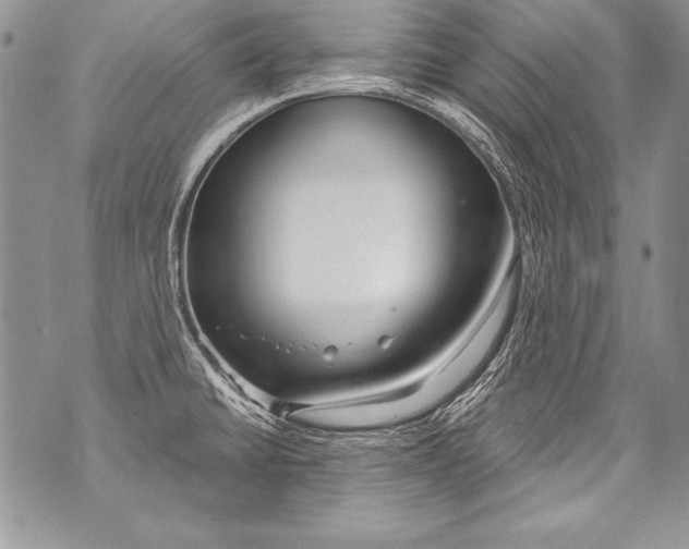 X0000070881430200607150135