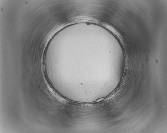 X0000070881431200607150135