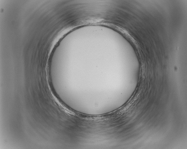 X0000070881432200607150135