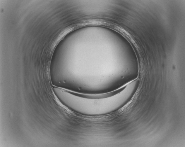 X0000070881433200607150135