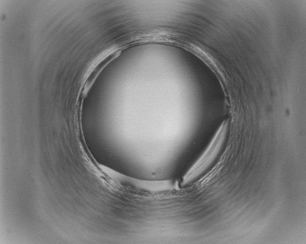 X0000070881434200607150135