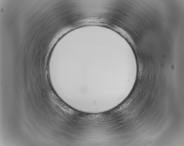 X0000070881435200607150135