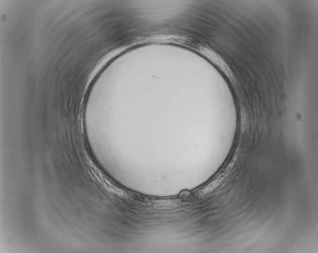 X0000070881436200607150135