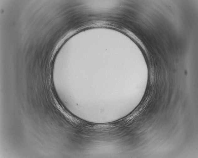 X0000070881437200607150135