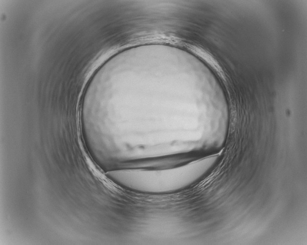 X0000070881439200607150135